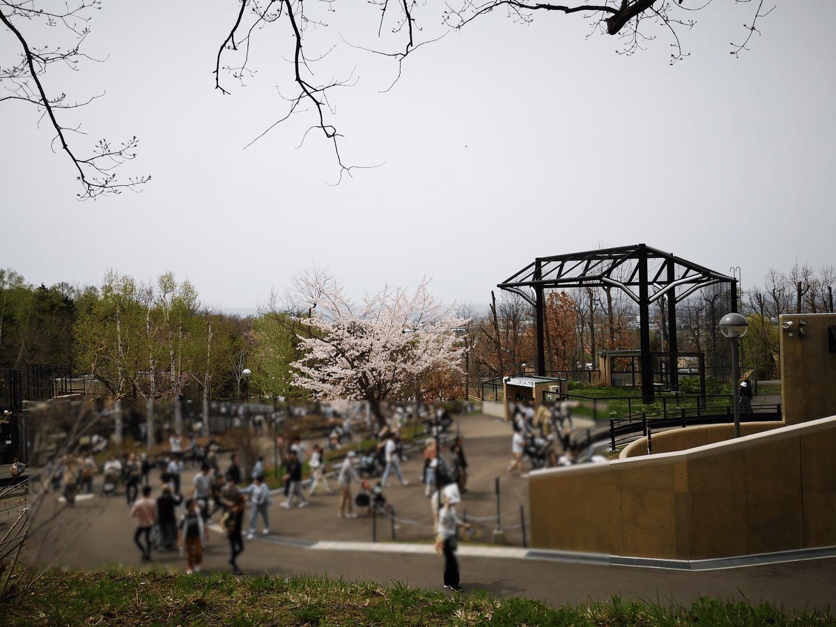 旭山動物園の園内。桜が咲いて多くの来園者が歩いている