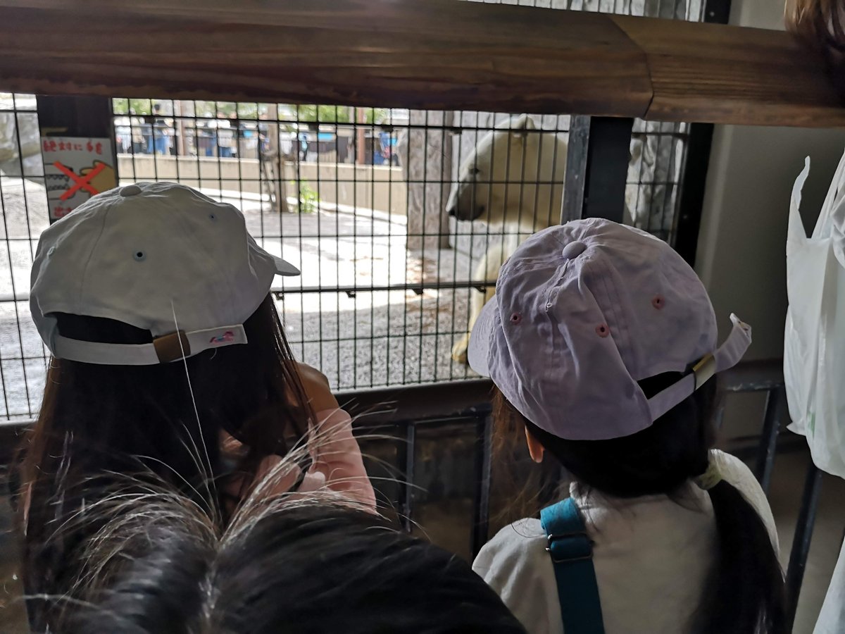 子どもたちが柵越しに動物を見ている後ろ姿