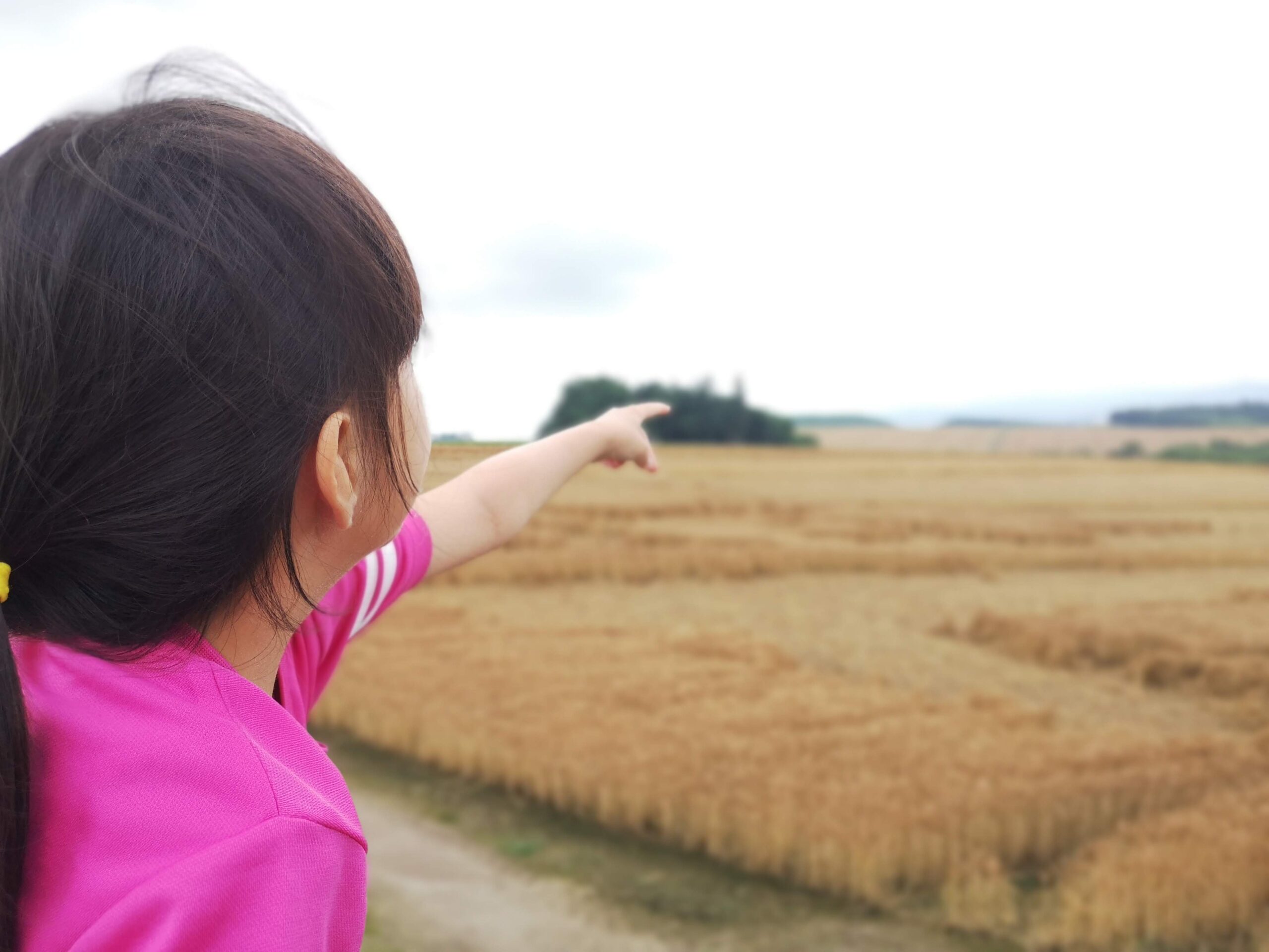農業景観を指差す子どもの後ろ姿。黄金色の麦畑が広がる