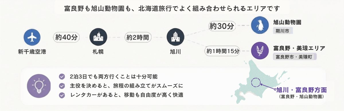 新千歳空港から札幌・旭川を経由して旭山動物園と富良野へのアクセスと移動時間を示した図