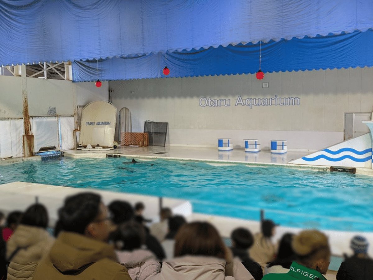 おたる水族館の屋内ショー会場。観客がイルカショーを見ている